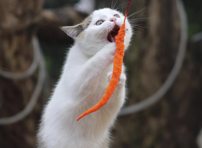 Fuzzy Worms - Image 4