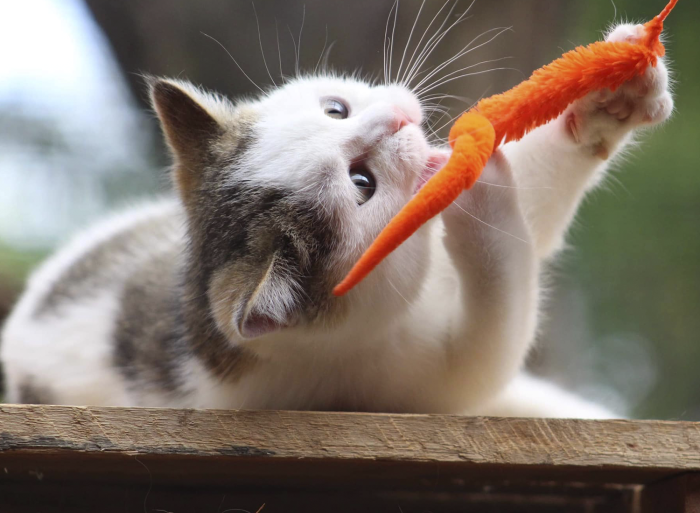 Fuzzy Worms - Image 2