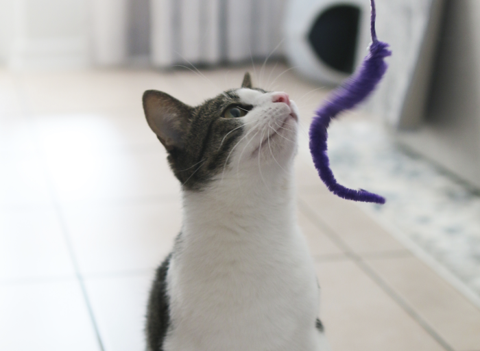 Fuzzy Worms - Image 7