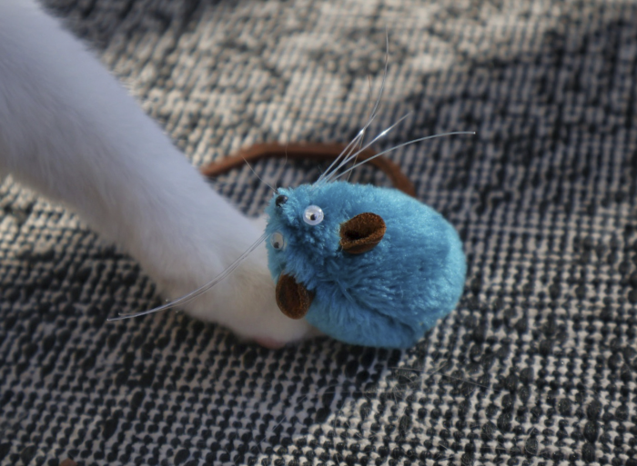 Mice Toys - Image 3