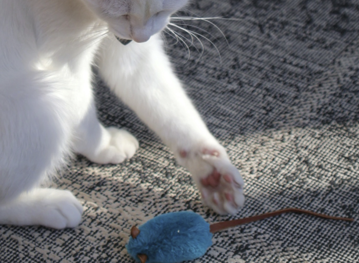 Mice Toys - Image 2