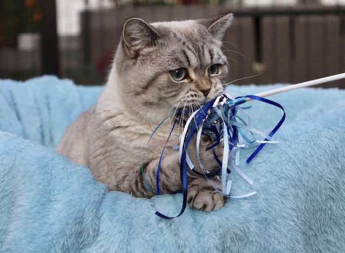Ribbons - Image 3