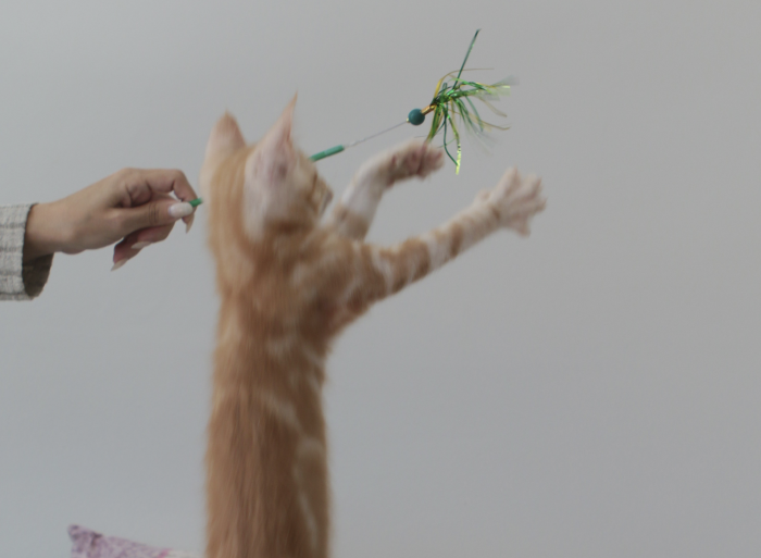 Sparklers - Image 2