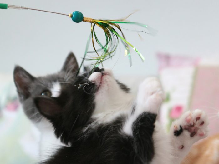 Sparklers